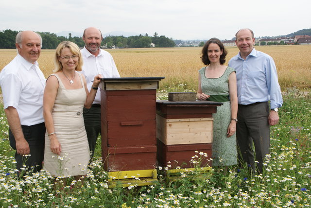 Einsatz für die Bienen: Schillhuber, Huemer, Bert Huemer, Asphalter und Hieglsberger (v. l.).