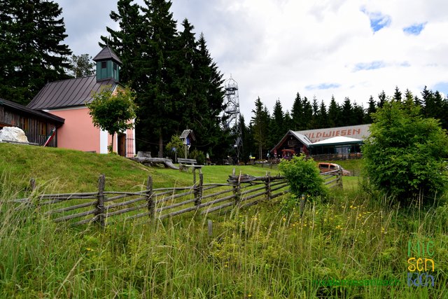 Die Wildwiese: http://www.meinbezirk.at/weiz/freizeit/schnitzelwanderung-d1793226.html