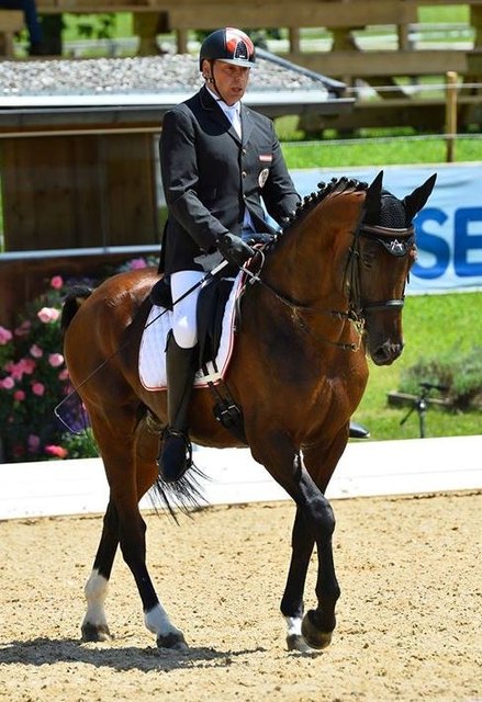 Puschkin , Hengst aus  dem Zuchtstall Mayr schaffte mit  Thomas Haller vom  URV St.Marienk. die Qualifikation zu den Paralympischen Spielen in Rio 2016 im September ! Für Haller sind es die 5.Paralympischen Spiele ,erstmals auf einem österr. Pferd wird passend zur Kürmusik von " I am from Austria" in Rio geritten. | Foto: Schrainer