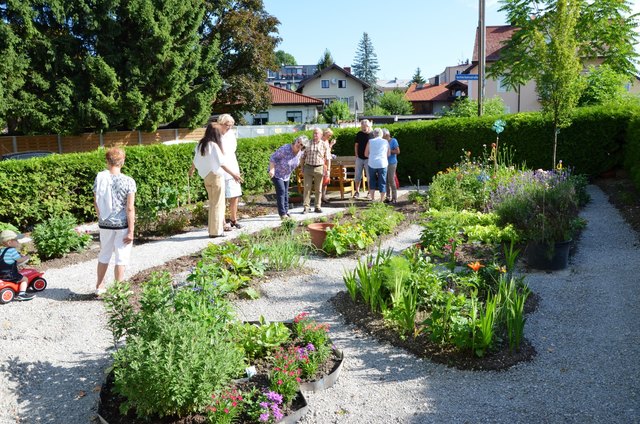 Schönes Fleckchen Grün | Foto: Stadt Salzburg