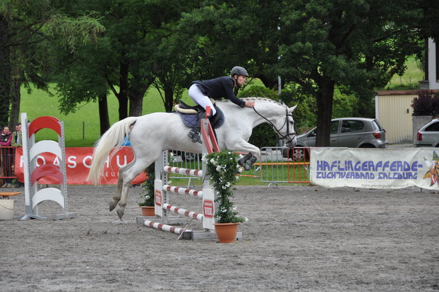 In Saalfelden fand eine große Reitsportveranstaltung statt. | Foto: Foto: Privat