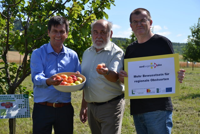 Christian Illedits, Helmut Link und Bgm. Alfred Reismüller im Obstgarten in Rohrbach