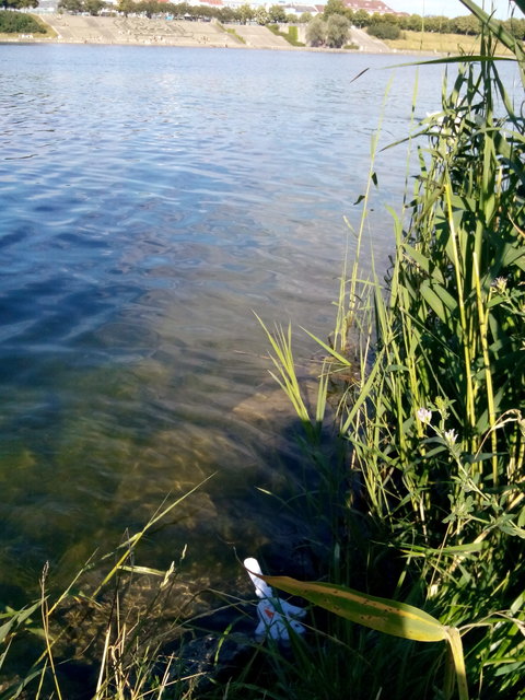 Plastikmüllgiveaway der Sparda Bank auf dem Weg ins schwarze Meer/Donauinsel