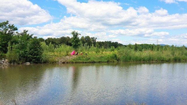 Campen im Grünen – im Grunde ein romantischer Gedanke, in den Auwiesen aber offiziell nicht erlaubt.