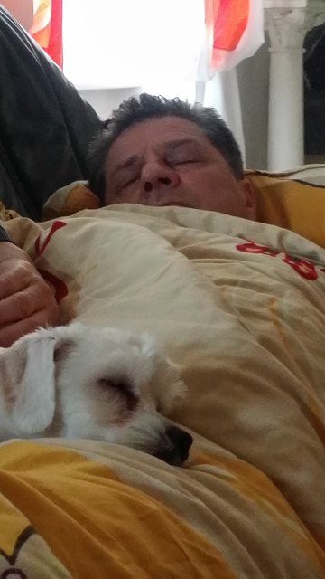 Happy Hour, ich bin glücklich wenn meine Lieblinge Klaus und Maltäserhündin Mali unser Zuhause geniessen