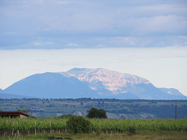 Urlaub zu Hause in Illmitz mit blick zum Schneberg