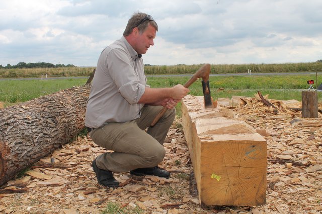 Holzbau-Experte Wolfgang Lobisser von der Uni Wien leitet das Bauprojekt.