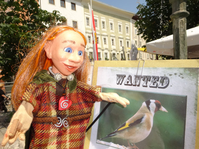 Luana ist auf der Suche nach dem Zeiserl. Können die Kinder helfen?