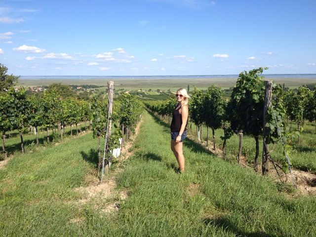 August 2014 - Ein paar Tage Urlaub bei meinem besten Freund in Oggau am Neusiedlersee. Dieses Bild entstand bei dem herrlichen Weinwanderweg. Die Weinberge sind umwerfend und im Hintergrund erkennt man den Neusiedlersee, eine wirklich idyllische Ortschaft im Nordburgenland.