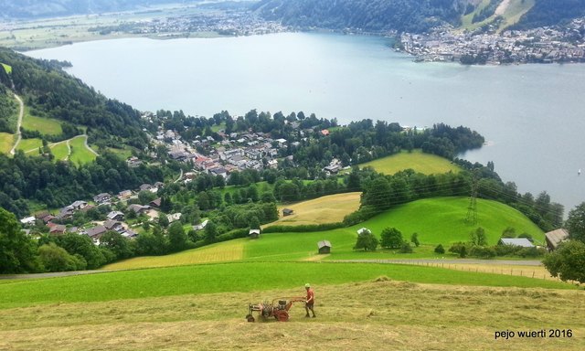 Mühevolle Landschaftspflege statt Bergbauernromantik hier in Thumersbach hoch über Zell am See bzw dem Zellersee