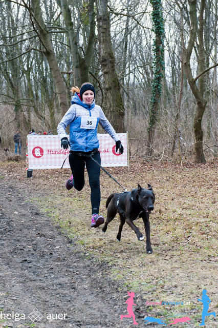 Canicross © SpeedRunners.at