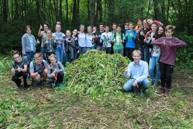 Die Schüler rund um einen der Springkraut-Haufen