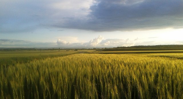 wozu in die ferne schweifen - das gute liegt so nah
