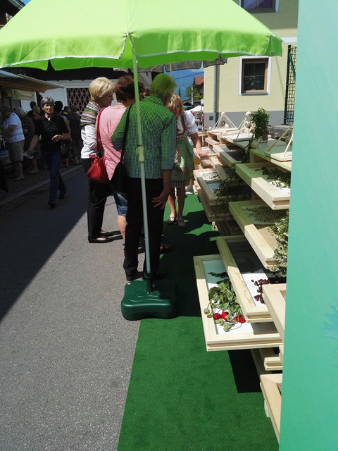 Kräuterfestival Irschen 2016
