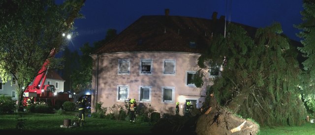 Mit dem 50 Tonnen Kranfahrzeug wurde der 18 Meter hohe Baum gesichert. | Foto: FF Steyr