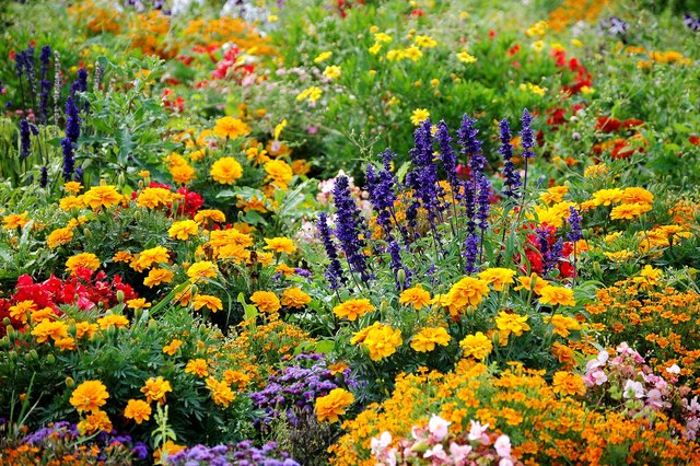 Blumenbeet im Sommer