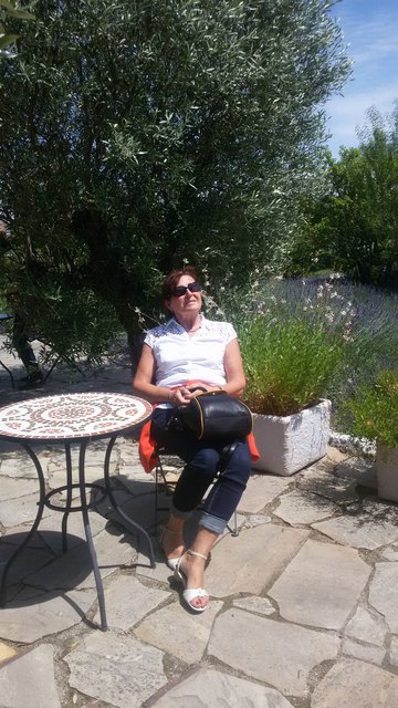 Sonne geniessen unterm Olivenbaum in Hirschstetten