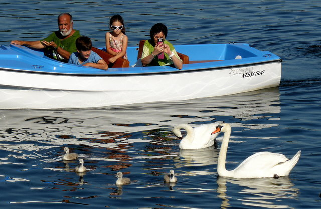 Unterwegs an der alten Donau