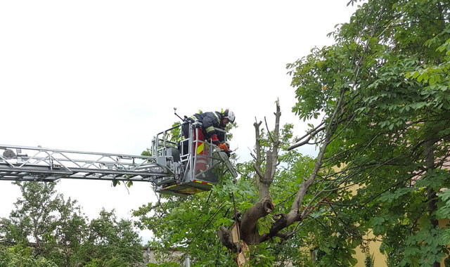 Foto: FF Wiener Neudorf