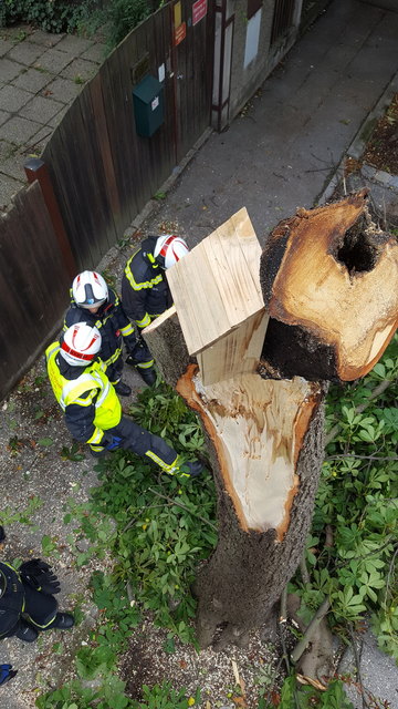 Foto: FF Wiener Neudorf