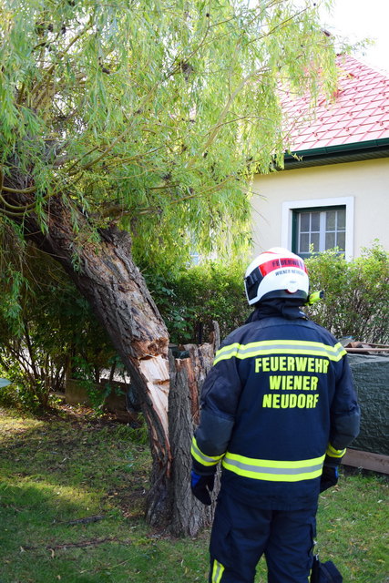 Foto: FF Wiener Neudorf