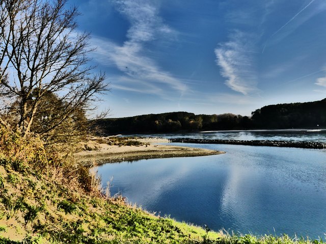 An der Donau in Orth/Donau