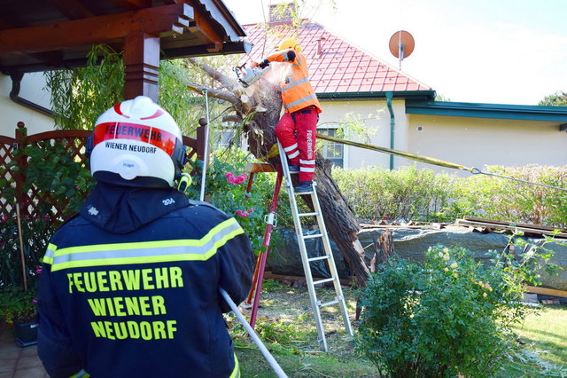 Foto: FF Wiener Neudorf