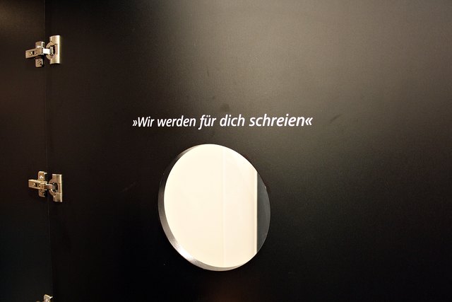 Schreien für Rapid!