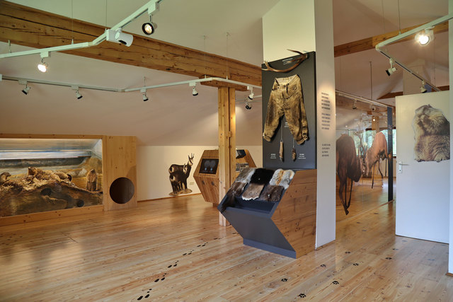 Eröffnung der Erlebnisausstellung zum 35-Jahr Jubiläum "Wilde Nockberge" an der Nockalmstraße
Im Bild die Ausstellung in der Pfandlhütte | Foto: Foto Franz Neumayr // Großglockner Hochalpenstraßen AG