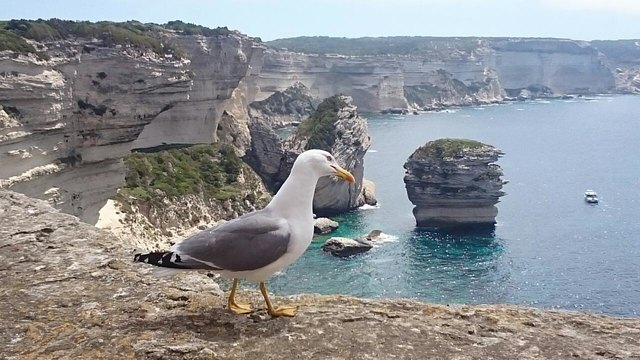 Diesen Schnappschuß habe ich in Bonifazio auf Korsika gemacht.