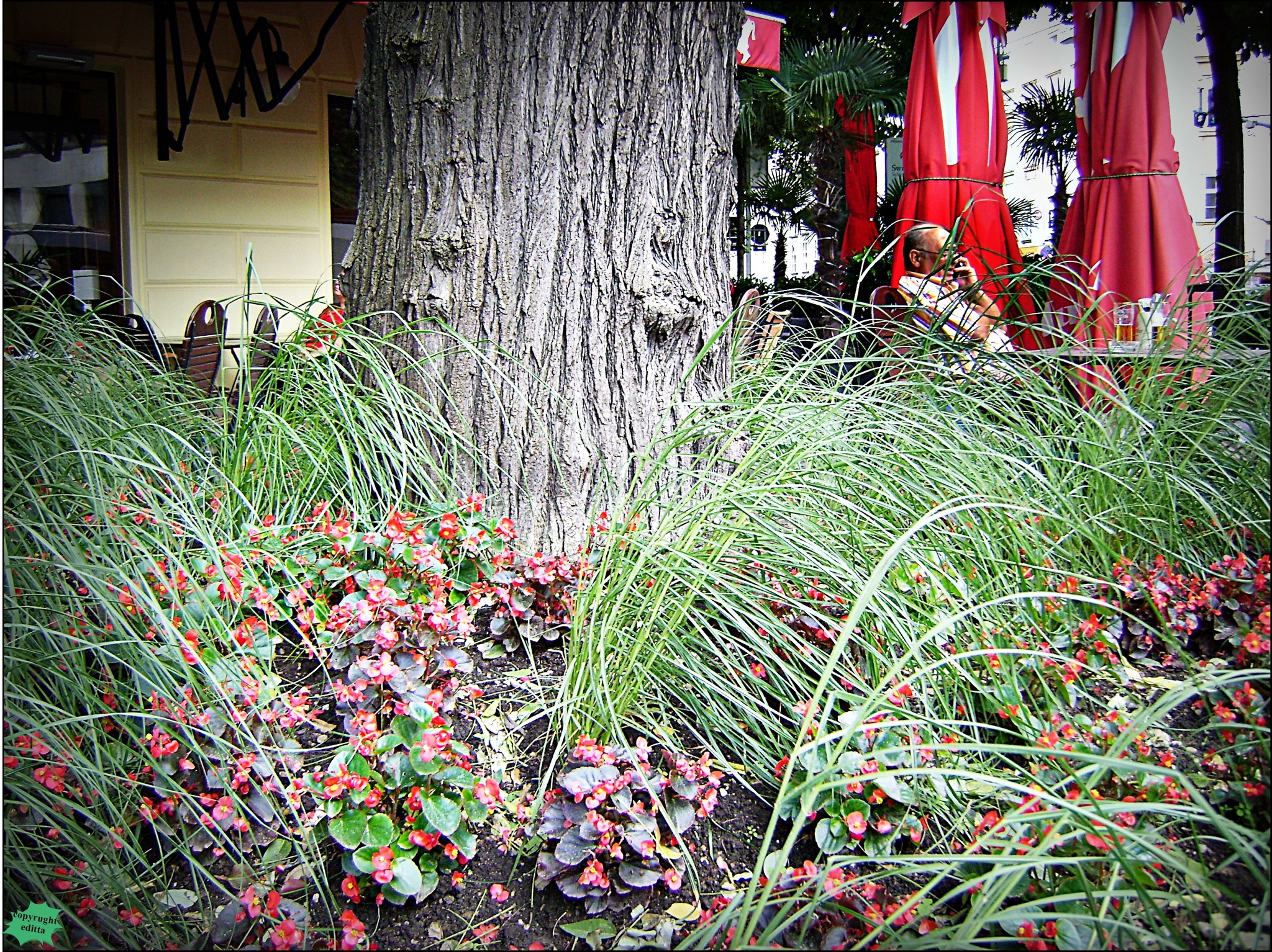 Die WienerGärtner waren am Werk! Wieden