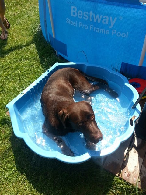 Baden im Planschbecken ist auch schön, wer braucht schon einen See ;-)