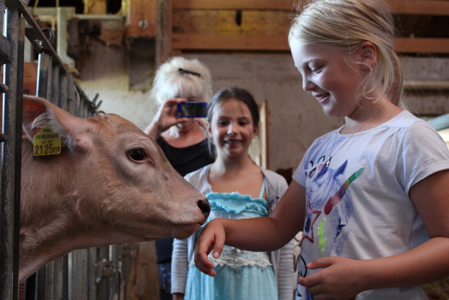 Sophia aus Ampflwang (r.) und Pauline aus Wien freundeten sich sofort mit den erst wenige Wochen alten Kälbern an.