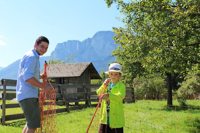Simon Strobl baute mit Lukas aus Vorchdorf einen neuen Weidezaun für die Schafe.
