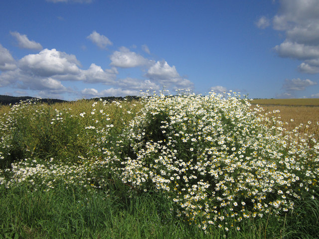 Glück bedeutet  - wandern im Naturpark Landseer Berge