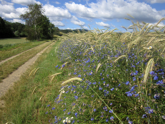 Das Burgenland ist schön - komm, bleib!