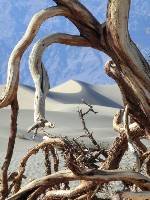 Mojave Wüste / am heißesten Ort von Amerika - Death Valley