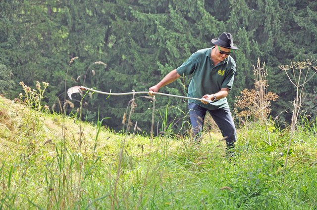 „Sensenmähen wirkt nicht nur entschleunigend, sondern ist die ideale Pflegemethode zur Förderung der Artenvielfalt“, erklärt Waltraud Müller. | Foto: privat