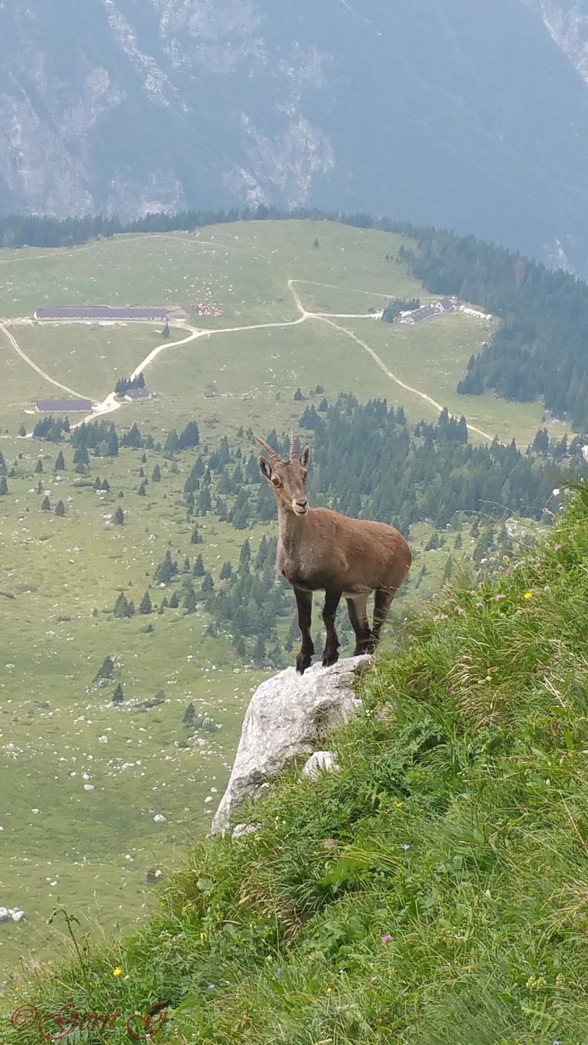 Cima di Terra Rossa Villach Land