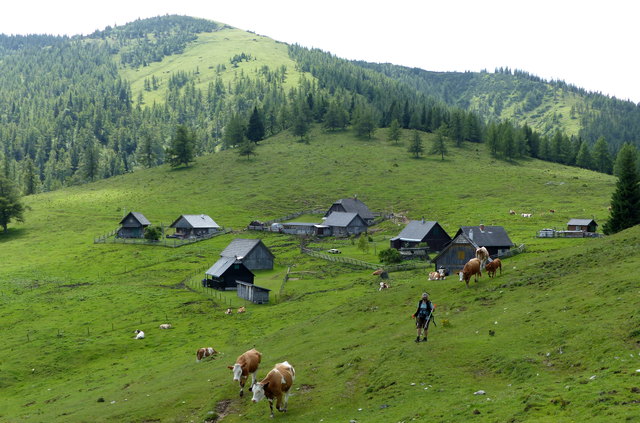 Göriacher Alm