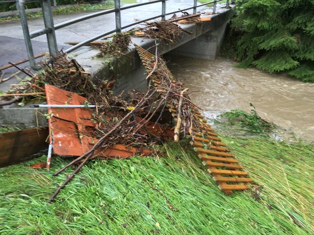 Foto: Werner Kerschbaummayr