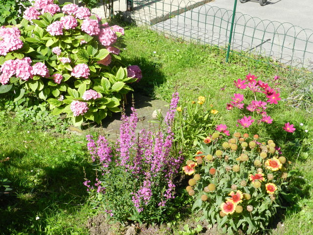 Unser schwer erkämpfter Mietergarten verschönt den Sommer im Gemeindebau