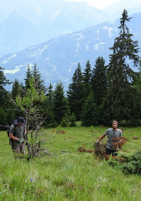 Gabriel (22) und Florian (25) beim Arbeitseinsatz auf der Alm. | Foto: Pachler