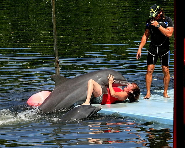 Die Delphine in Varadero lieben ihre Gäste !