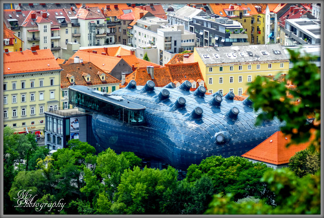 Das Kunsthaus Graz ist als Institution für die Ausrichtung internationaler Ausstellungen multidisziplinärer, moderner und zeitgenössischer Kunst von den 1960er Jahren bis zur Gegenwart entwickelt worden. Es sammelt nicht, richtet keine Dauerausstellungen ein, verfügt über keine Dauerdepots und keine Forschungseinrichtungen.