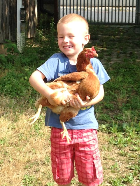 Sommer Sonne Sonnenschein