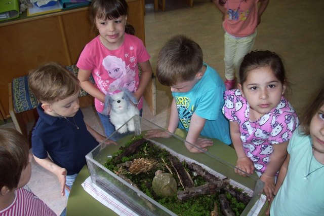 In einem Terrarium konnten die Kinder die Schnecken genau beobachten.