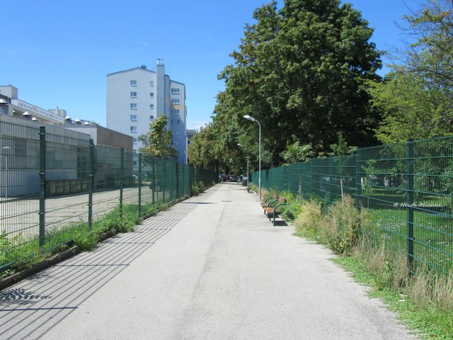 Der kleine Weg so verschandelt durch Müll!