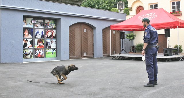 Heranrufen des Hundes