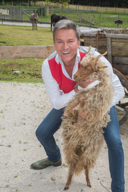 Entertainer Alfons Haider besucht Gut Aiderbichl und macht Bekanntschaft mit einem jungen Zackelschaf. | Foto: Neumayr/MMV